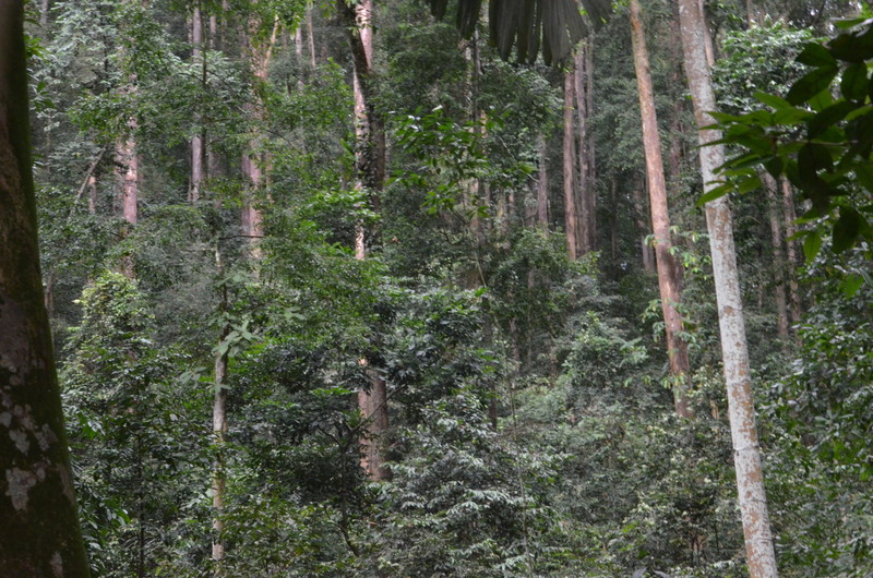0509 DSC 5828